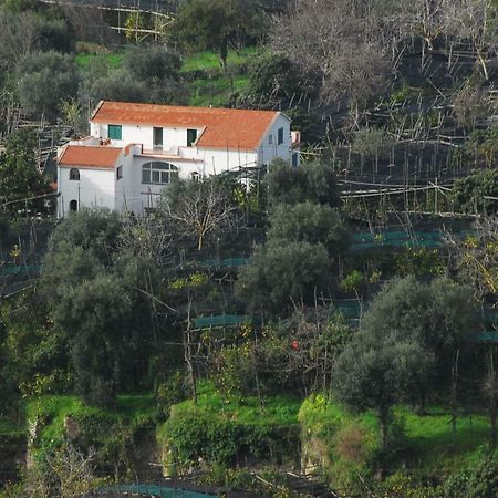 Azienda Agricola Veniero Piano di Sorrento Exteriér fotografie