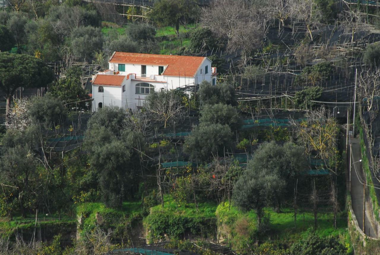 Azienda Agricola Veniero Piano di Sorrento Exteriér fotografie